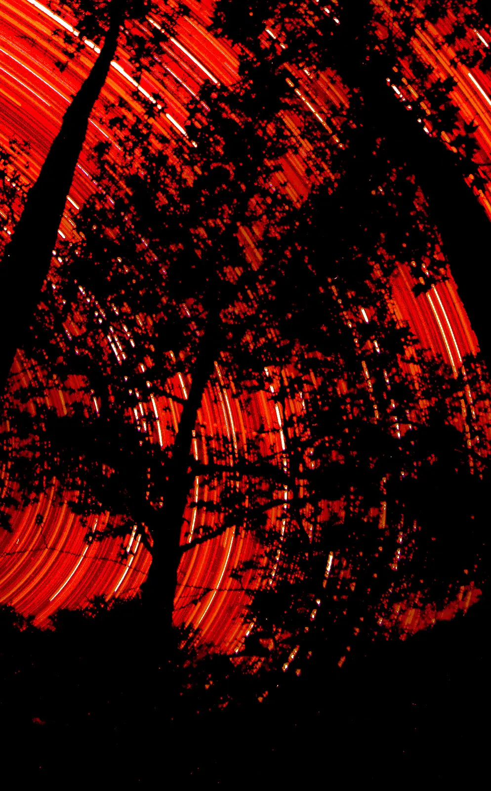 Estrellas 05 Cropped Red