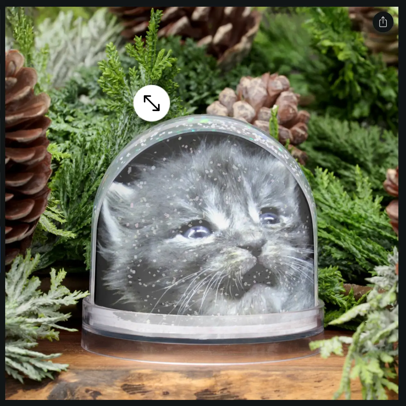 zazzle20
